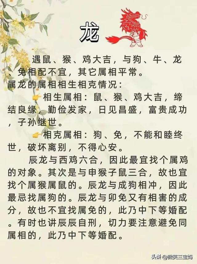 十二婚姻配对表