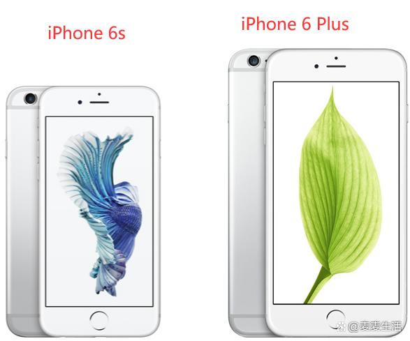 （iphone6与iphone6plus的区别）" iPhone6和iPhone6Plus有什么区别